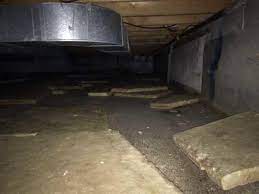 Dirt Floor Crawl Space Stinks Up House