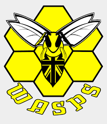 They must be uploaded as png files, isolated on a transparent background. Inspired Slightly By The Charlotte Hornets Modern Logo Logo Wasps Cliparts Cartoons Jing Fm