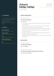 pl sql developer resume exles and