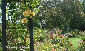 The History Of Descanso Gardens