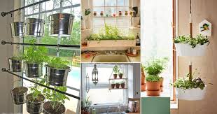 Window Herb Garden Ideas For City Gardeners