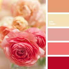 Get ready to use sample code and examples. Peach And Beige Color Palette Ideas