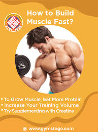 how to build muscle fast south