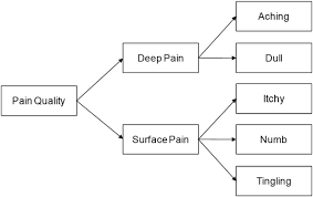 exle conceptual framework for