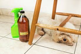 can you use apple cider vinegar for dogs