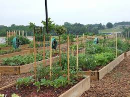 Food Garden Design Nc State Extension