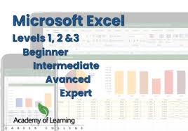 microsoft excel from beginner to