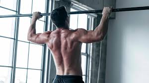 bigger back calisthenics back workout