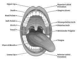 trauma to the mouth and throat