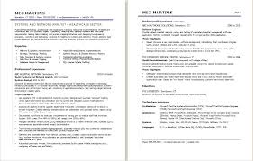 It Professional Resume Samples Mmventures Co