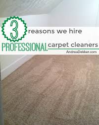 hire professional carpet cleaners
