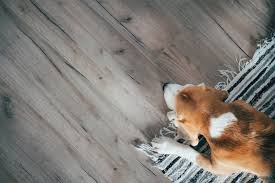 finding pet friendly floors for your