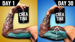 creatine before and after discover