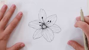 how to draw a lily the happy ever crafter