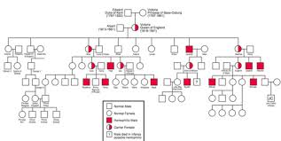 Part Iii Sex Linked Traits X Chromosome Hemophilia