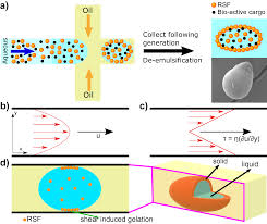 shear ated sol gel transition of