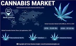States in the next decade. Medical Cannabis Market Size Worth 97 35 Billion By 2026 Legal Marijuana Industry Share Trends Demand In Canada Row Fortune Business Insights Medgadget