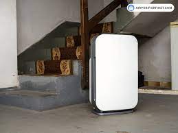 best air purifiers for basement in