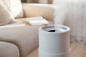 how to clean a humidifier this old house
