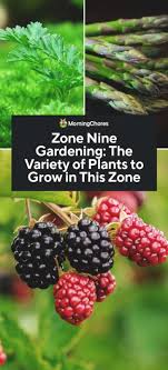 Zone Nine Gardening The Variety Of