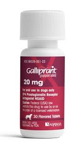 Galliprant Tablets 20mg 30 Flavored Tablets