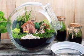 How To Make Your Own Terrarium