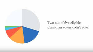 Ubc Students Pie Chart Election Explainer Goes Viral Ctv News