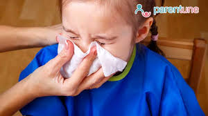 5 runny nose rhinorrhea home remes