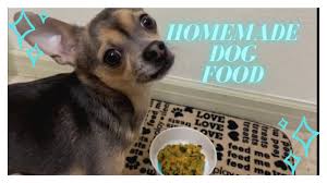 homemade healthy dog food amazing for