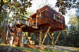 Modern Treehouses Childhood Dream
