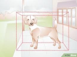 how to build a dog box with pictures