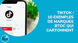 TIKTOK : 10 EXEMPLES DE MARQUES BTOC QUI CARTONNENT - La Social Room