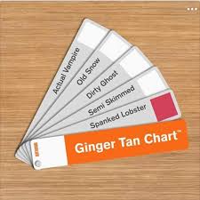 Ginger Tan Chart Funny