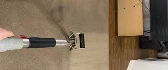 the best carpet cleaning services in