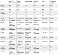 67 Meticulous Phylum Comparison Chart Key