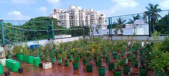 top roof gardening services in guindy