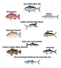 Heres A Helpful Chart For Fish Species You Might Find On