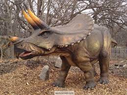 triceratops wallpapers top free