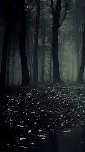 dark forest hd wallpaper for android