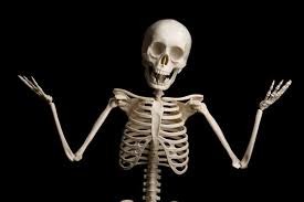 skeleton images browse 1 013 280