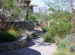 Desert Botanical Garden Botanical Gardens