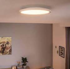 Smart Ceiling Lights Philips Hue