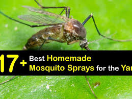 diy mosquito sprays make your own