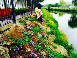 Carrigaline Proud Of Its Tidy Towns Heroes