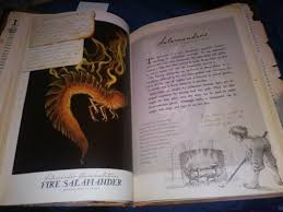 I used to look at these pictures and. The Spiderwick Chronicles Ser Arthur Spiderwick S Field Guide To The Fantastical World Around You By Tony Diterlizzi And Holly Black 2005 Hardcover For Sale Online Ebay