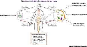 reframing anorexia nervosa as a metabo