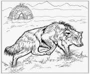 Realistic howling wolf coloring pages. Wolf Coloring Pages To Print Wolf Printable