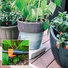 Drip Irrigation Kit For Container