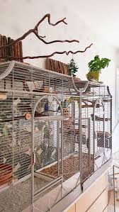 20 most inspiring bird cages to