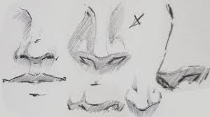Step 4 on drawing anime girl. How To Draw A Anime Nose Step By Step For Beginners Herunterladen